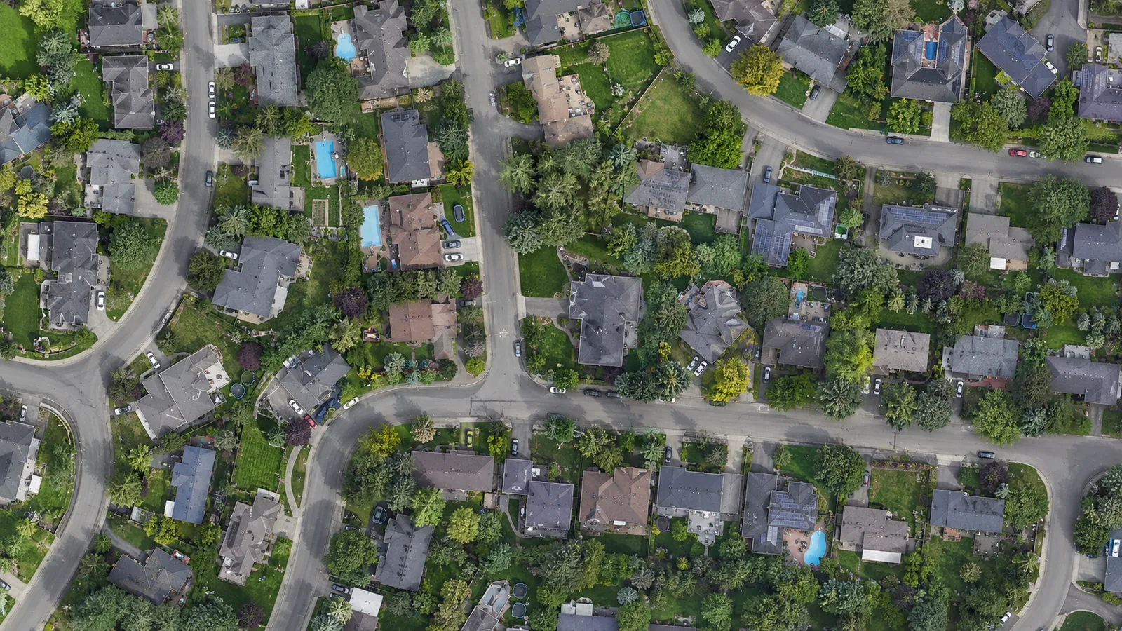 High-resolution aerial orthomosaic
